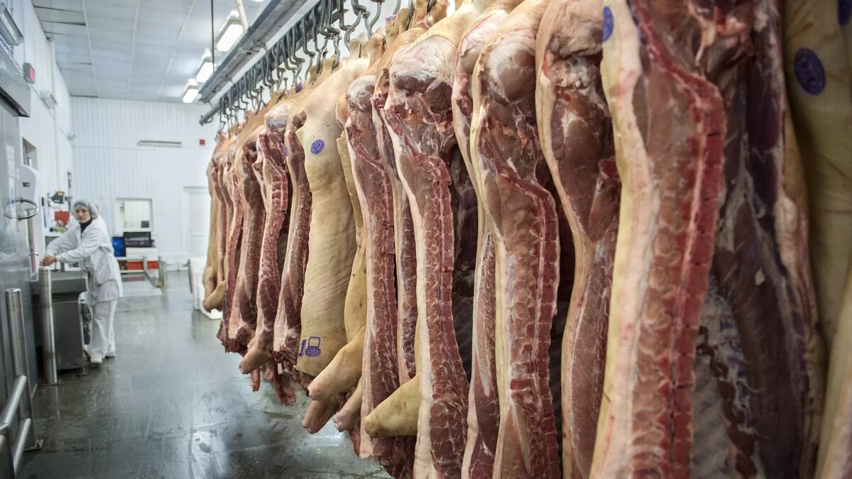 © photo: Sputnik / Alexey Malgavko / Перейти в фотобанк