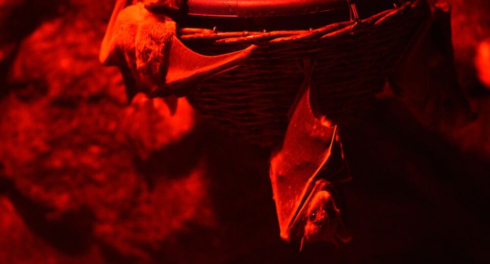    Медиасток.рф