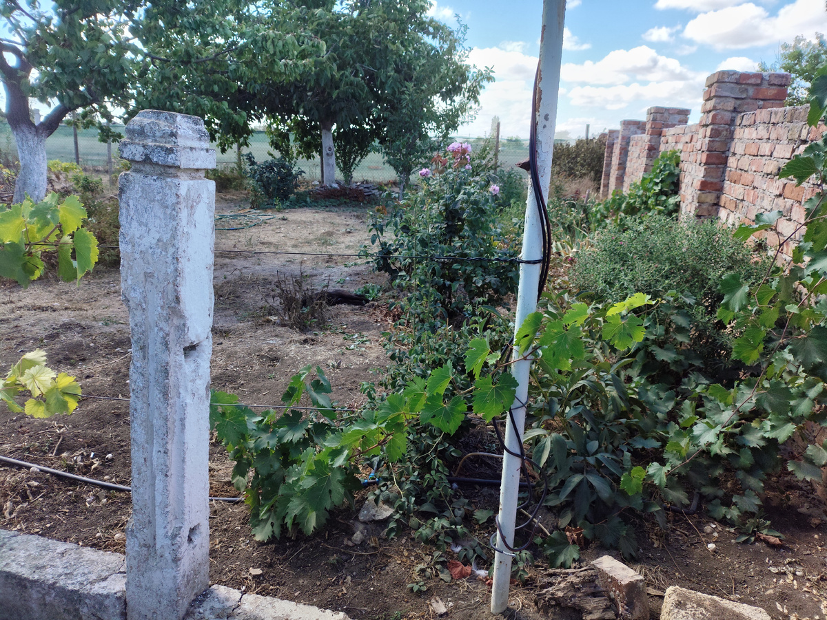 Найди кота ))