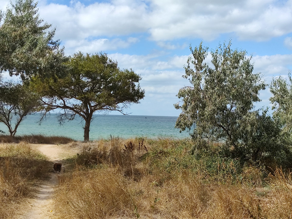 Подходим к берегу. Поня впереди ))