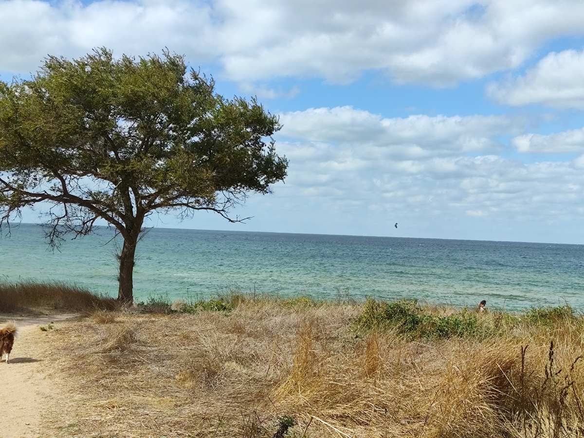 Всякие летуны радуются ветру. Пароплан вдалеке видите?