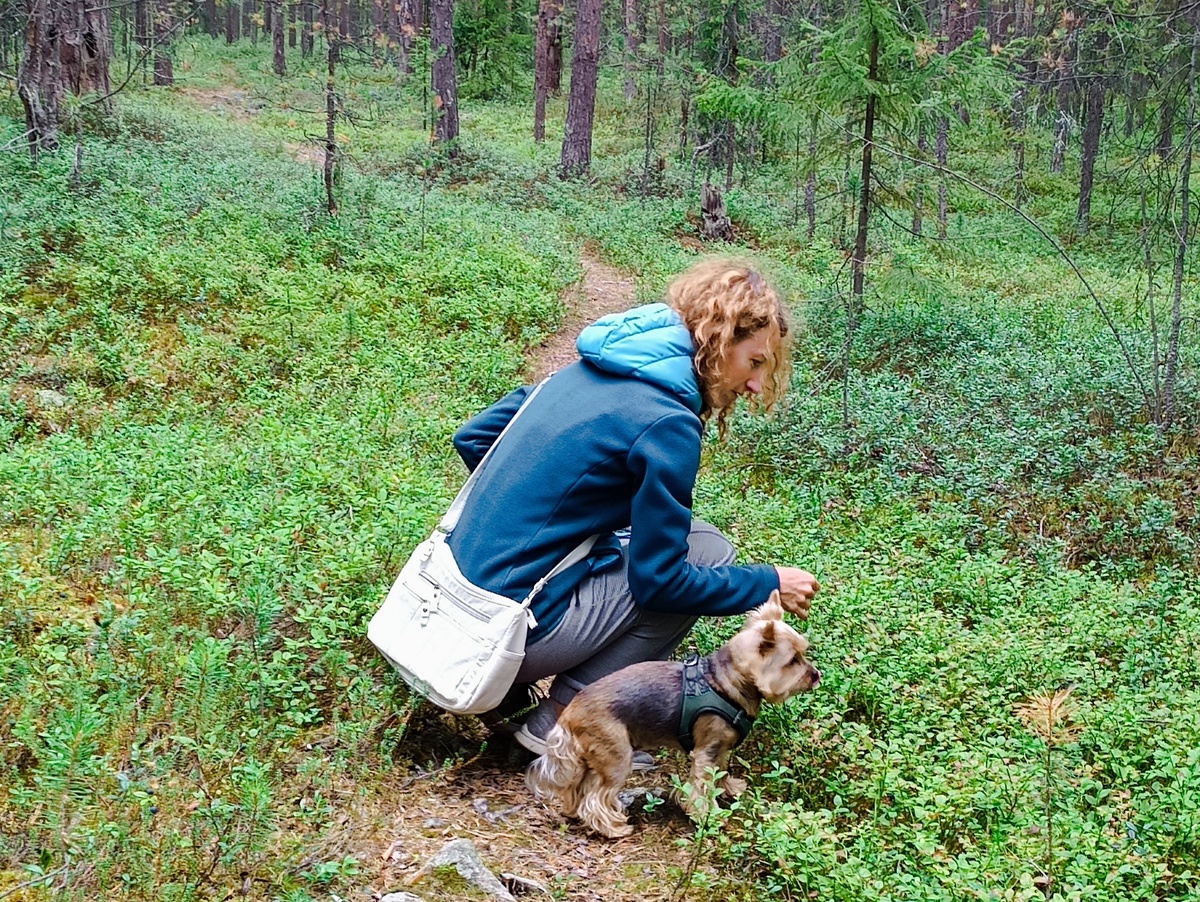 Фото принадлежит автору 