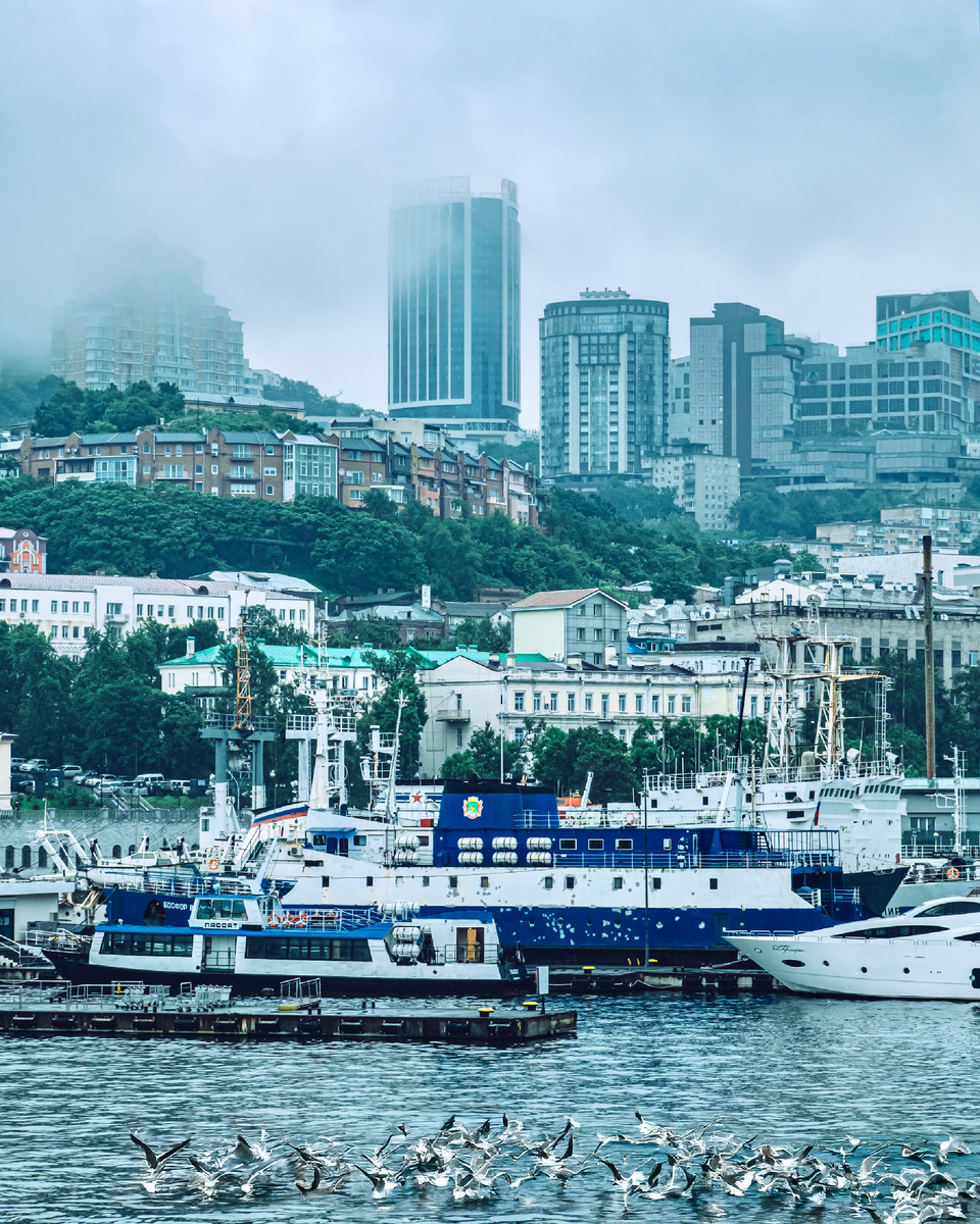 Владивосток. Автор: Алексей Моисеев / @partyzzzan