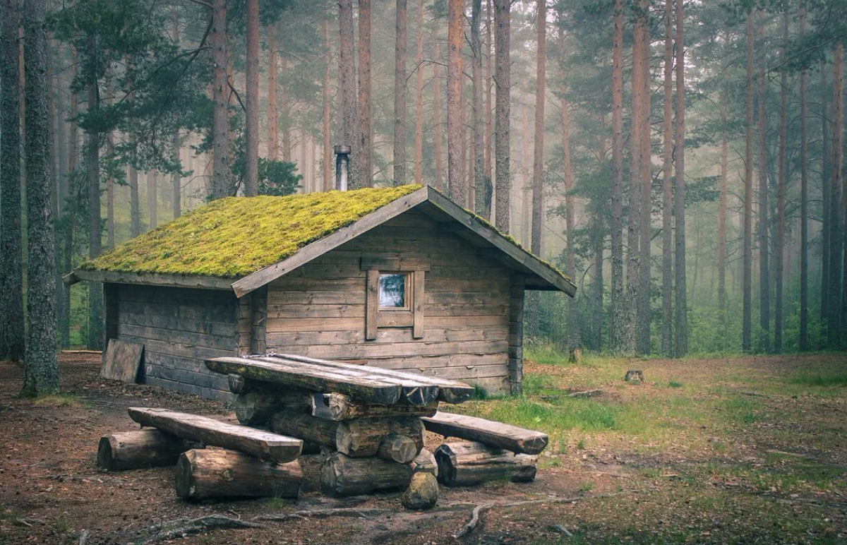 Яндекс картинки