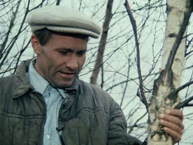 Он разговаривает с берёзками, как с подруженьками. Кадр из фильма «Калина красная» (1973). Скриншот.