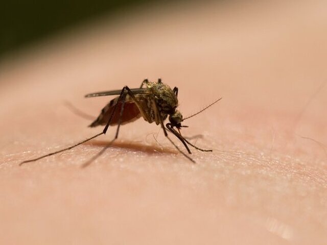    Фото: 123RF/spasta