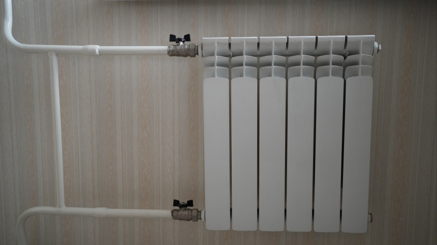    Фото: ИЗВЕСТИЯ/Дмитрий Коротаев