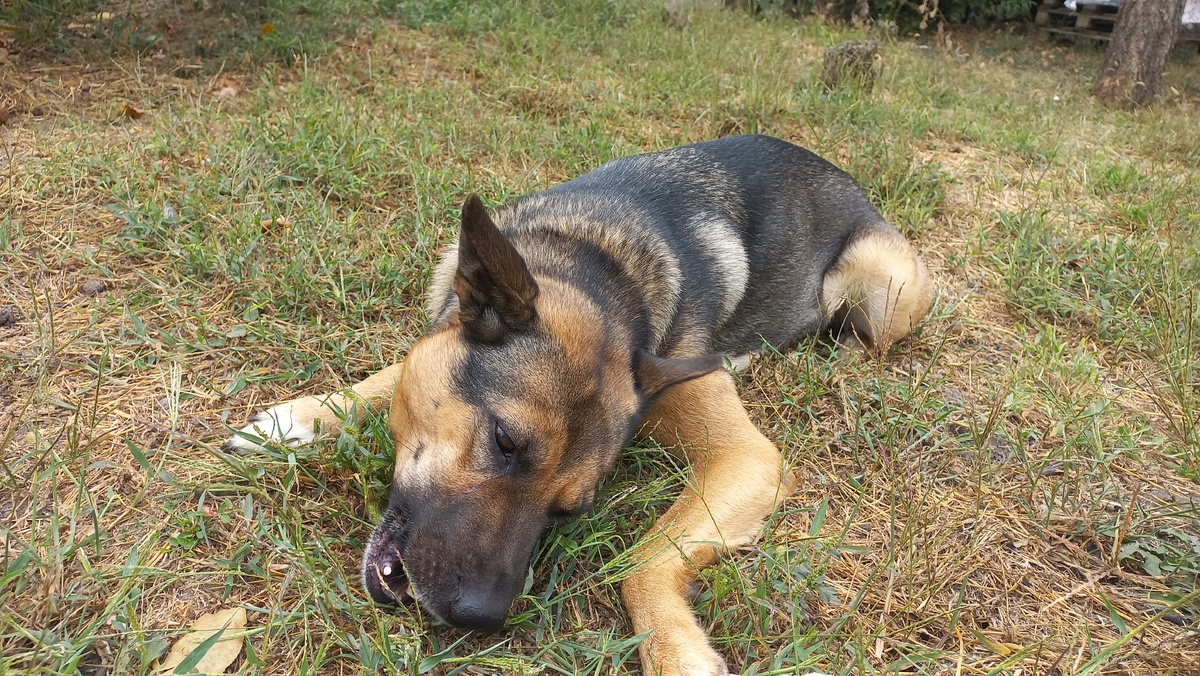 Все фото в статье сделаны автором и принадлежат ему на условиях авторского права © 