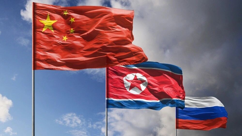    Фото: Tomas Ragina/Shutterstock/Fotodom