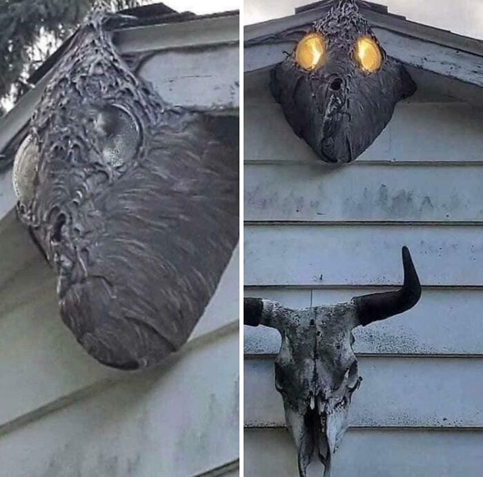 «Осиное гнездо на прожекторах». Источник: www.reddit.com/r/creepy