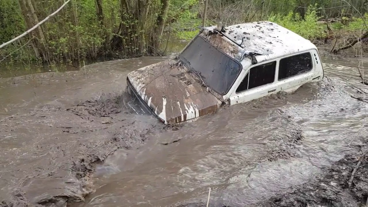 Фото из открытых источников 