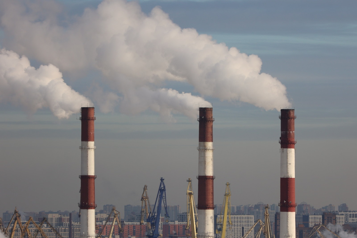 Дмитрий Фуфаев/«Петербургский дневник»