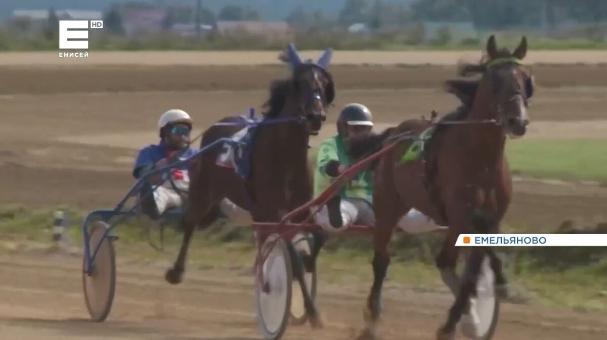     Соревнования сельских конников прошли на ипподроме в Емельяново