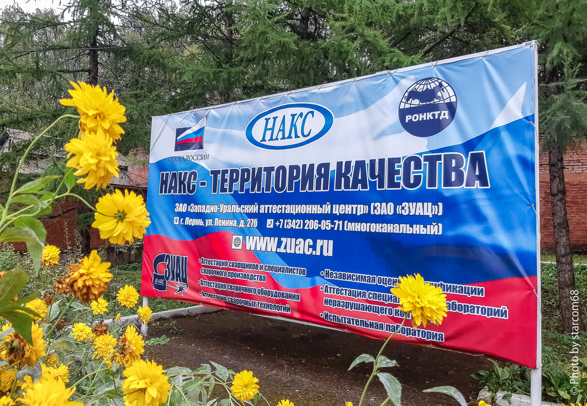 Золотой шар