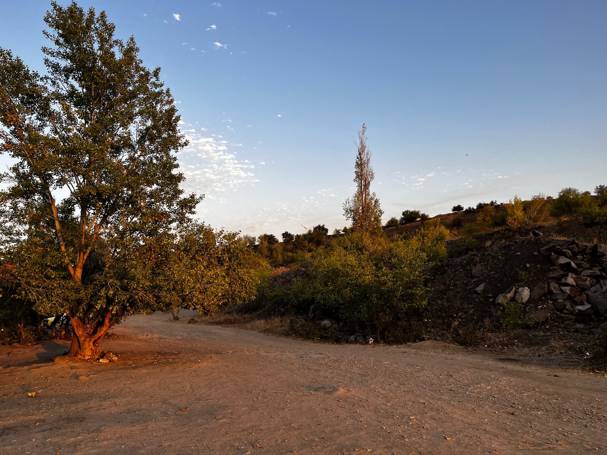 Вечерний вид на окружающую природу