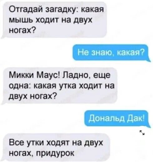 Источник: соцсети