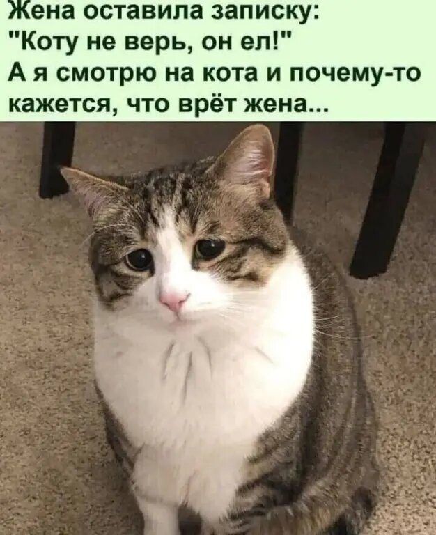 Источник: соцсети