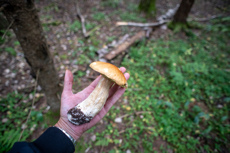    Фото: Юлия Федотова