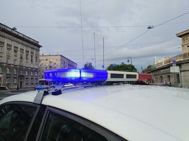     После первого удара пострадавшего отбросило на полосу встречного движения, где на него наехали грузовая «Газель» и автомобиль «Фольксваген Венто». Фото: архив МК в Питере.