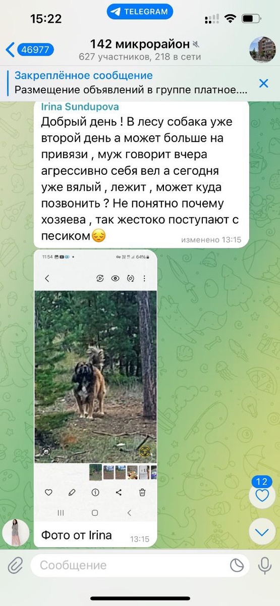 Информация о собаке, прикованной в лесу цепью к дереву..Собаку в Ананду забрать не смогли, так как в приюте сейчас почти нет сотрудников, забрать собаку было физически некому. Эта собака теперь живет в олном из приютов Бурятии.