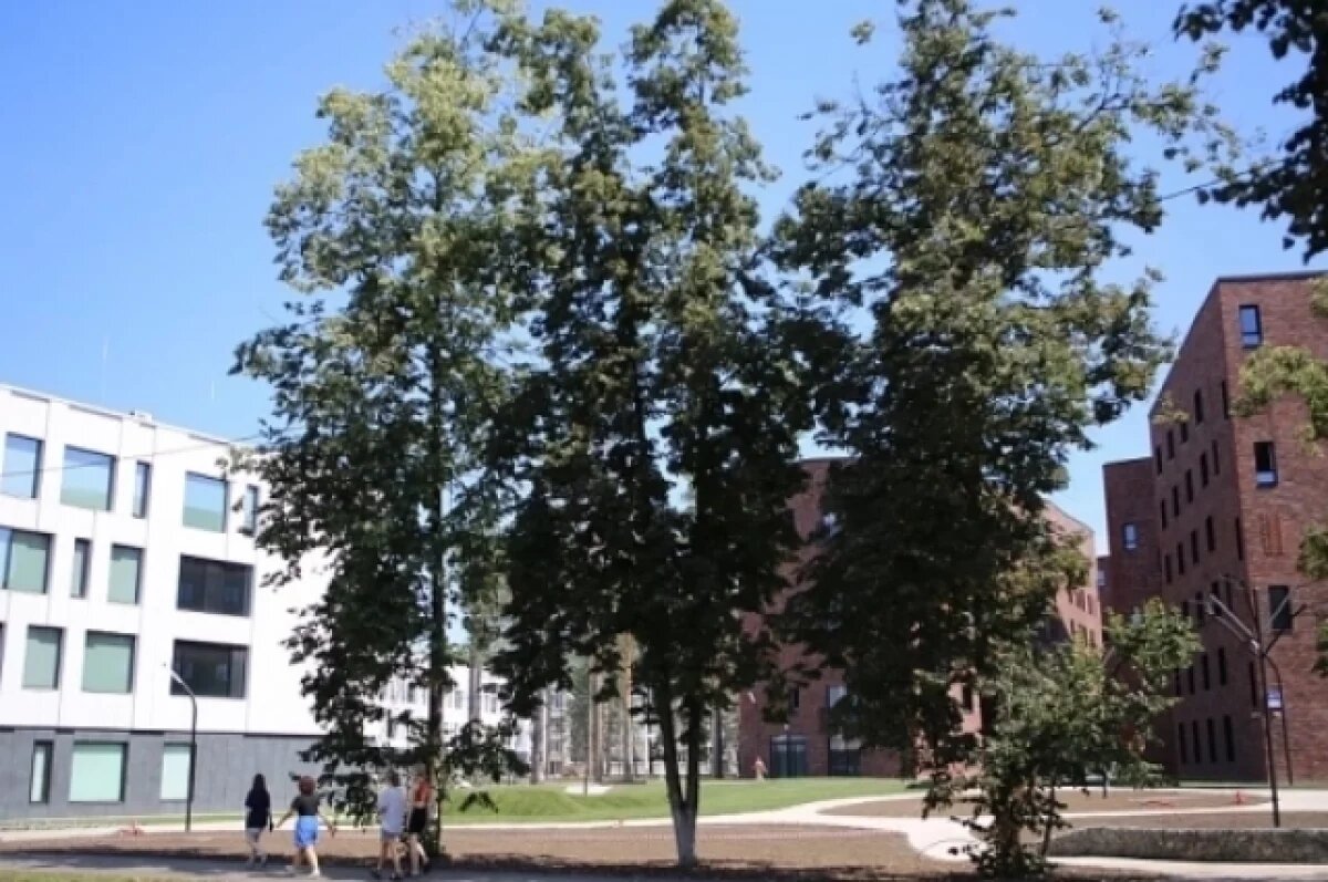    НГУ будет сотрудничать с педуниверситетом Китая