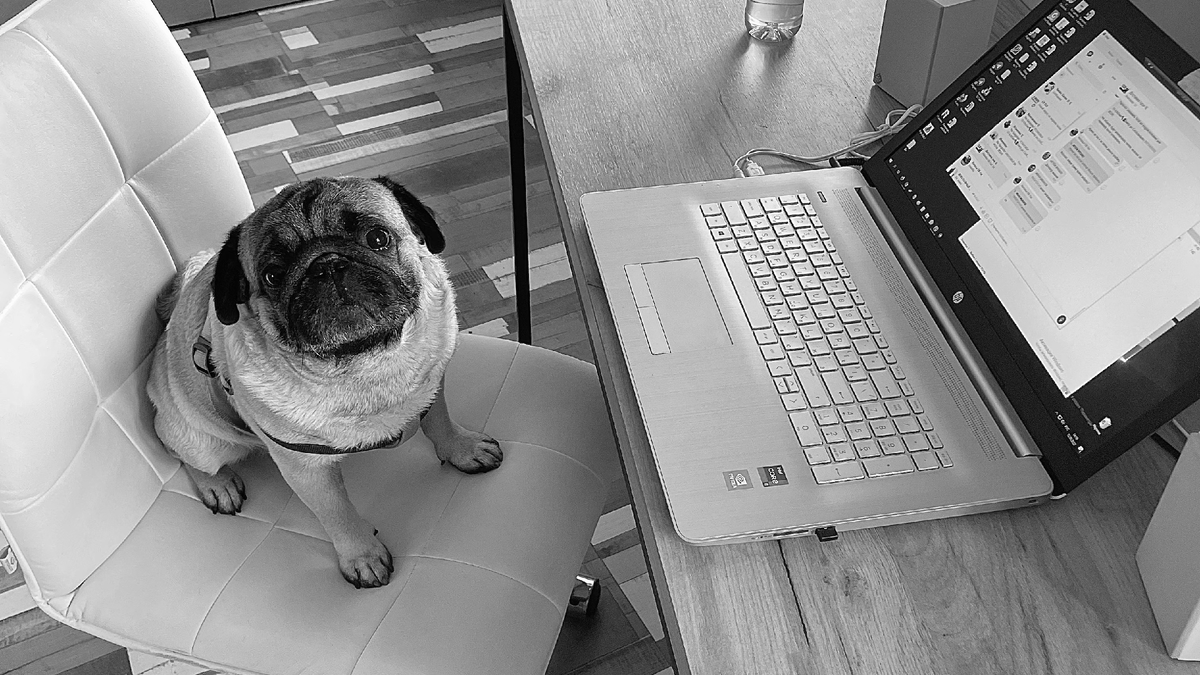 Новогодние каникулы я проводил со своим другом и разбирал то, что давно хотел разобрать.