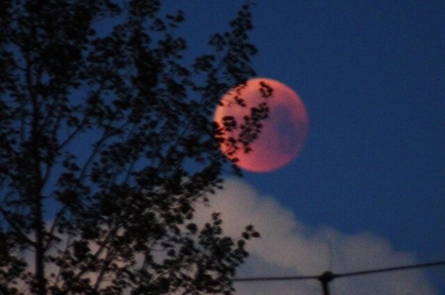    Покрасневшая Луна выглядит очень эффектно. Фото: АиФ/ Екатерина Лосецкая