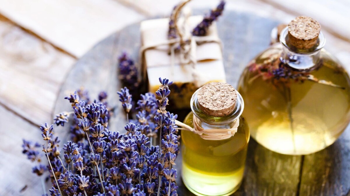    Фото: Vera Prokhorova /Shutterstock/Fotodom