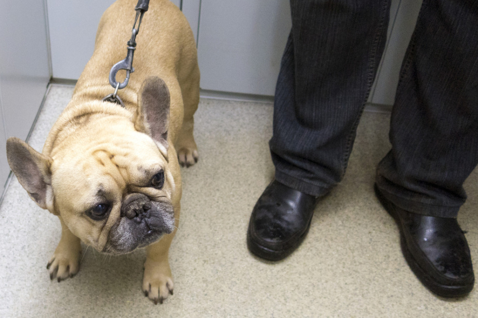    Shutterstock/FOTODOM