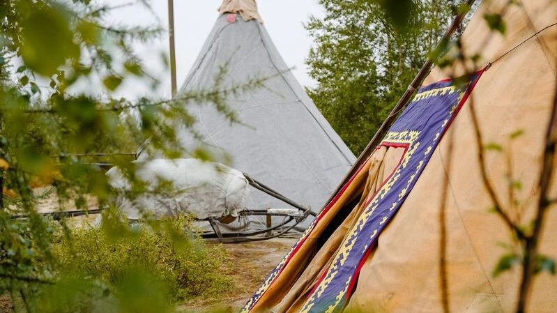    Фото: Юлия Чудинова / «Ямал-Медиа»