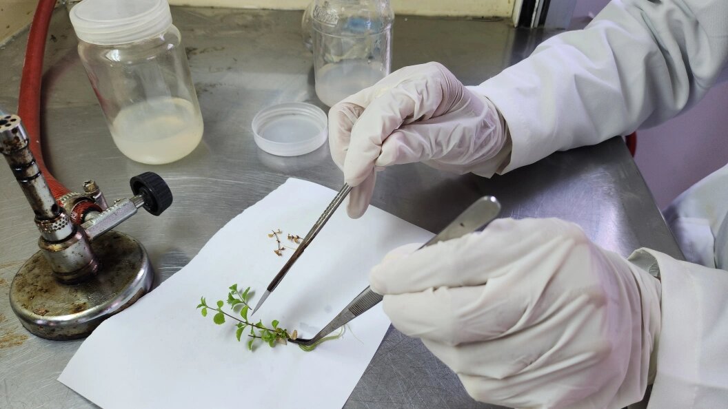    Ashraf Amra/Globallookpress