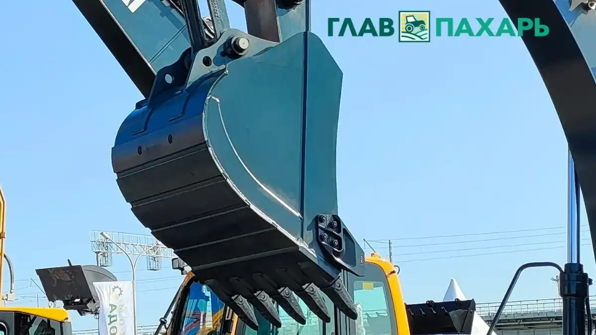 Фото: © Артем Борисов / Glavpahar.ruФотография носит иллюстративный характер 