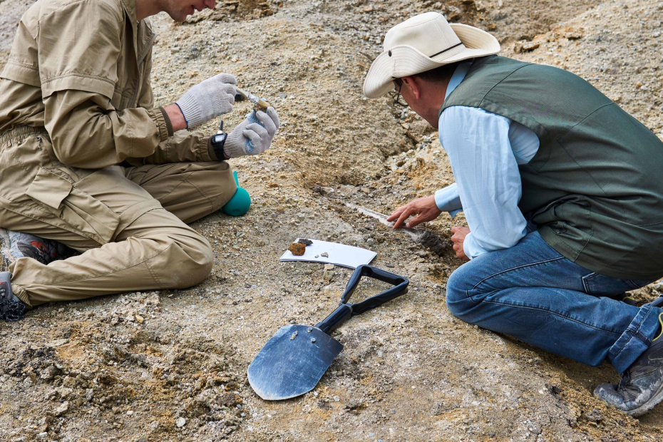    Shutterstock/FOTODOM