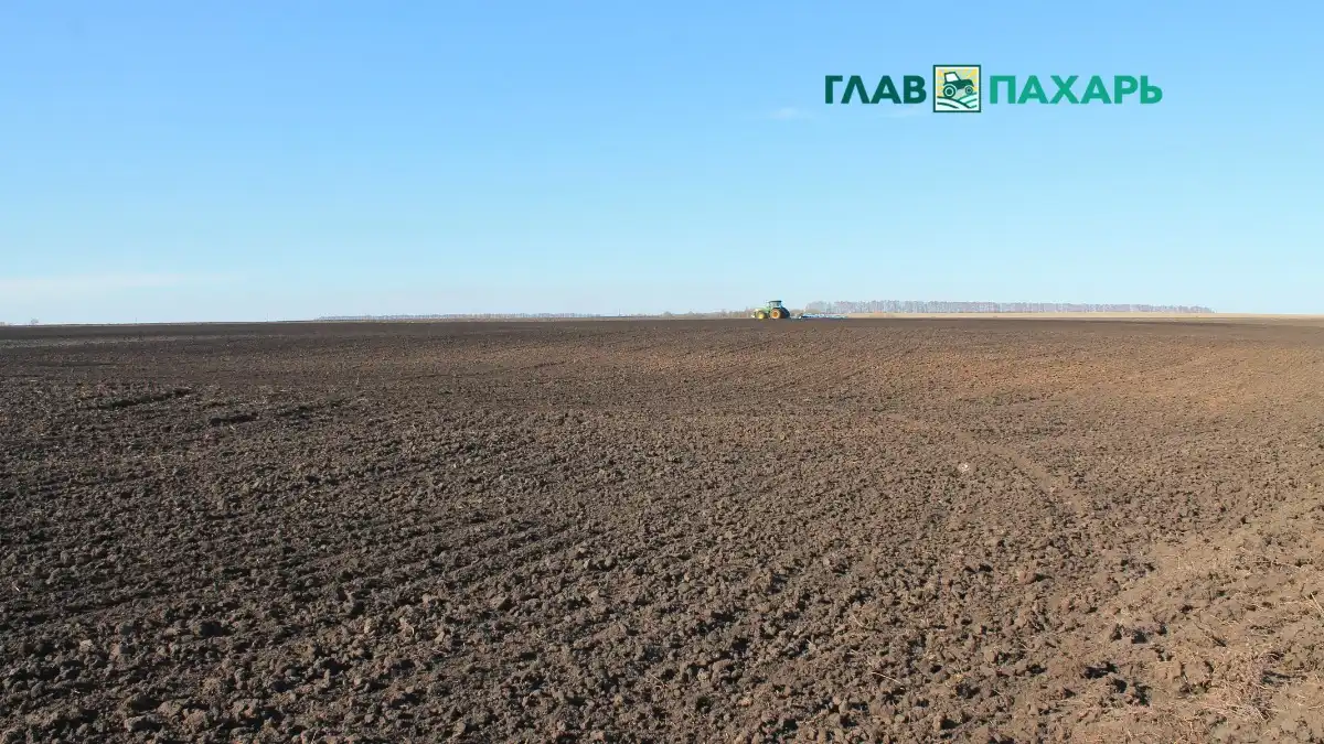 Фото: © Артем Борисов / Glavpahar.ruФотография носит иллюстративный характер