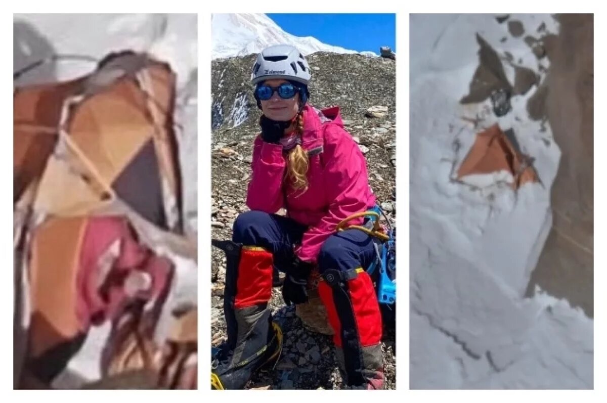    «Реальность горька».