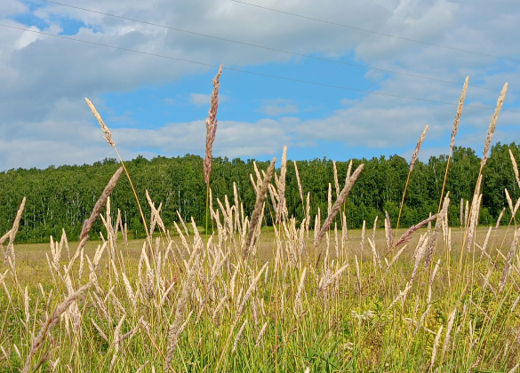 Фотография автора.