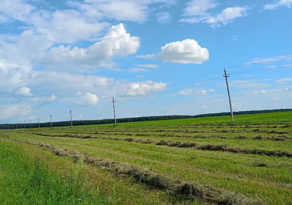 Фотография автора.