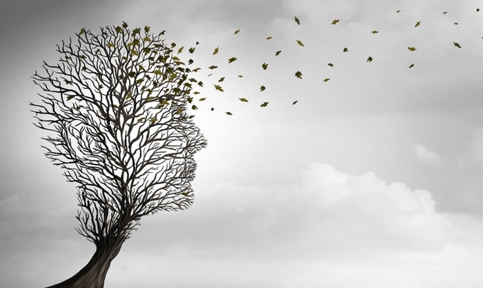    Лечить не болезни, а старость