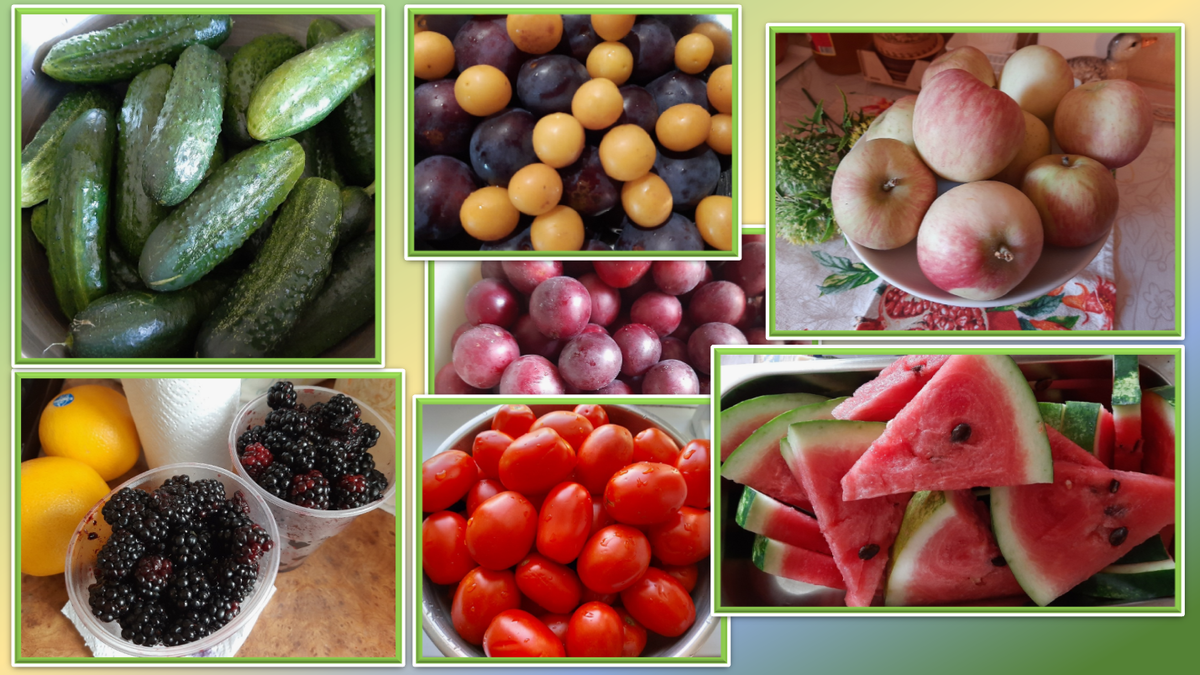 Коллаж и фото Автора