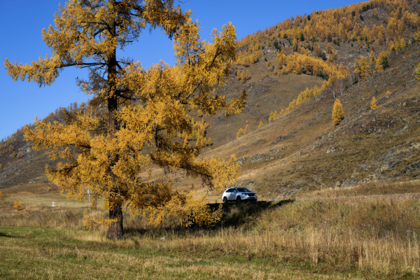 Фото: Александр Кряжев/РИА Новости
