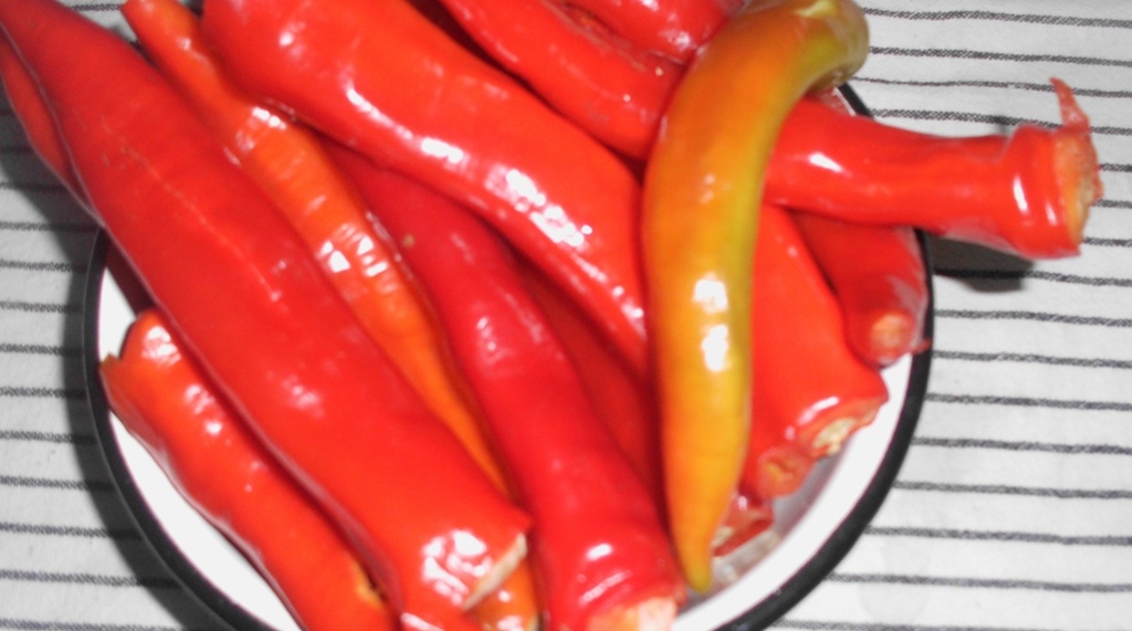 Подготовленный горький перец для приготовления сырой аджики. Фото автора канала Житейская проза