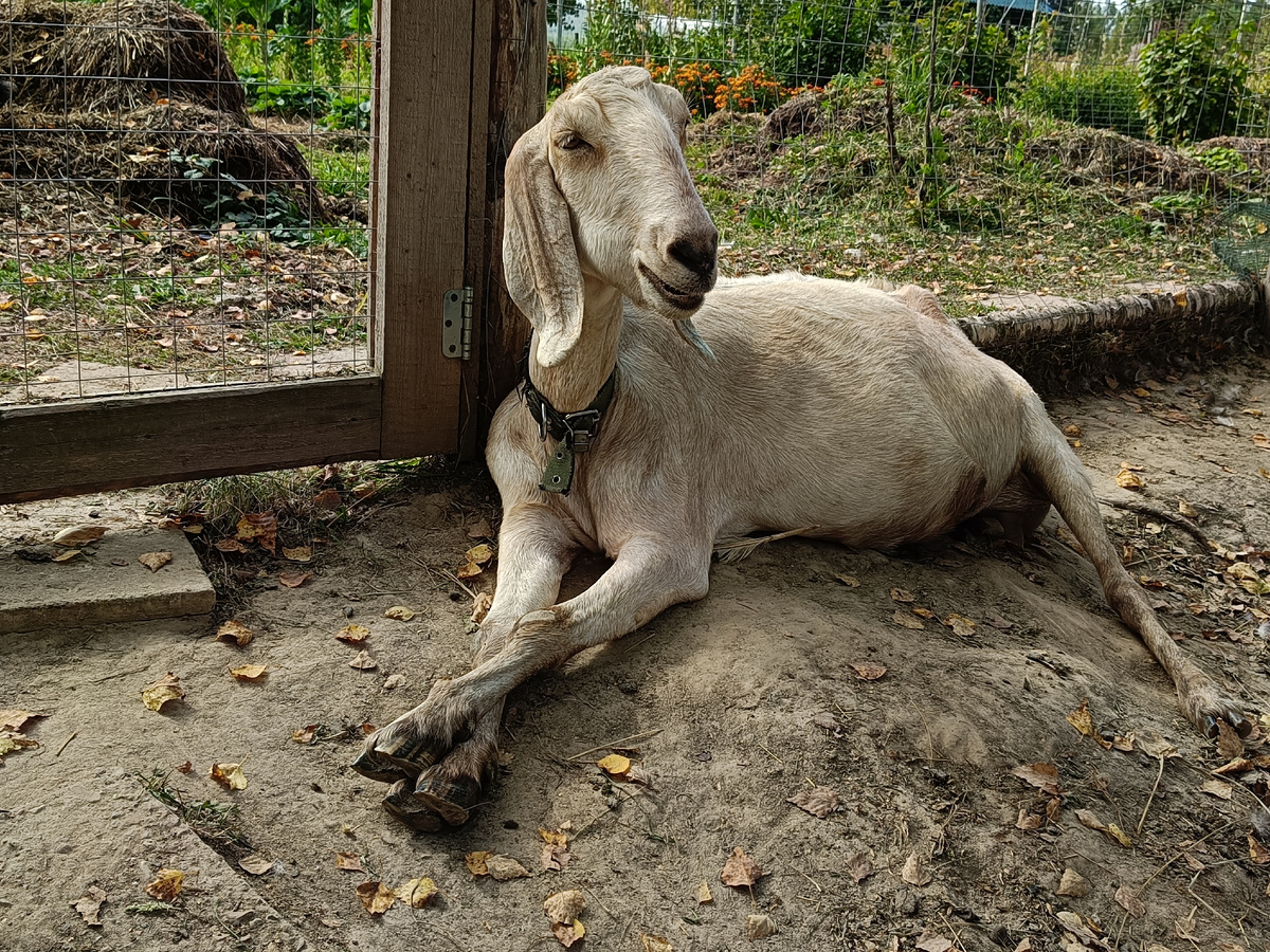 "Я лежу на пляжу..."