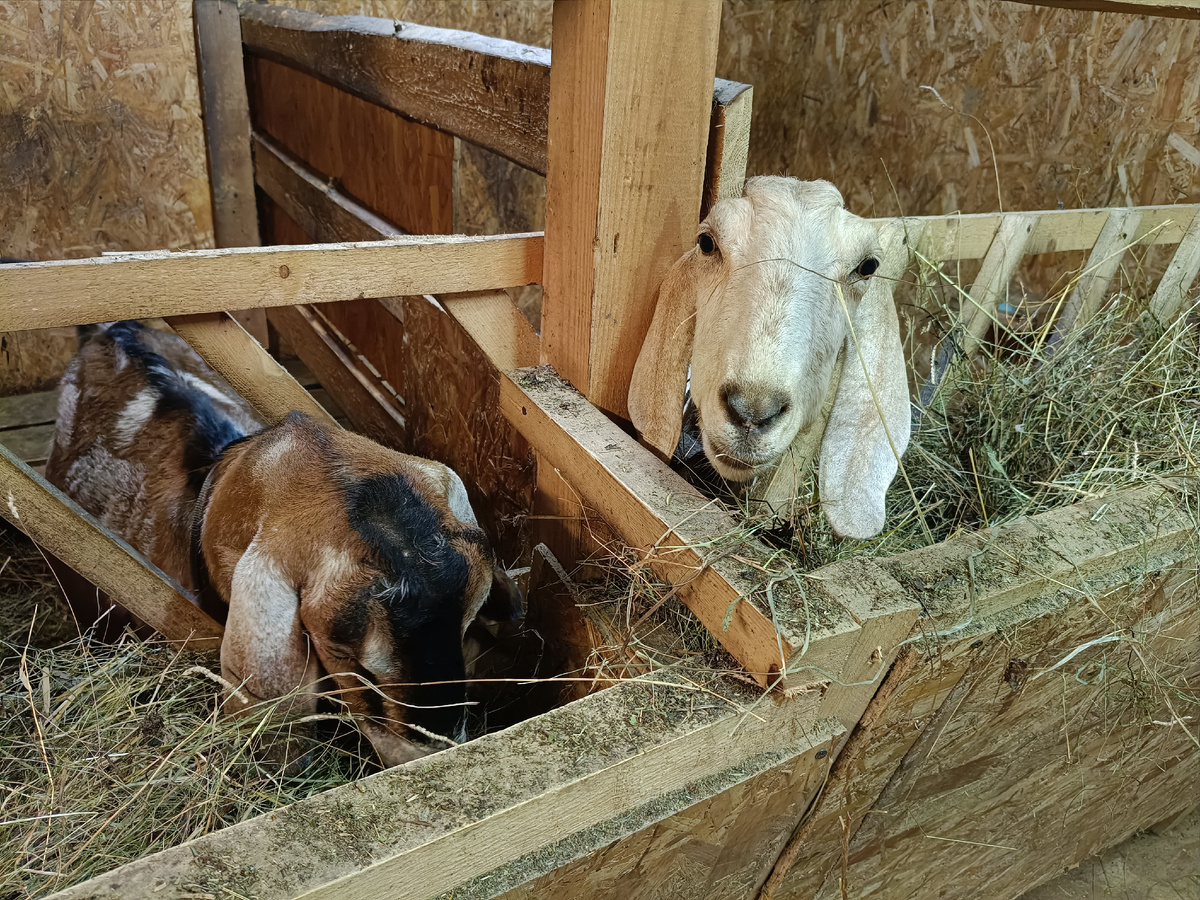 Юлька в своей "квартире"