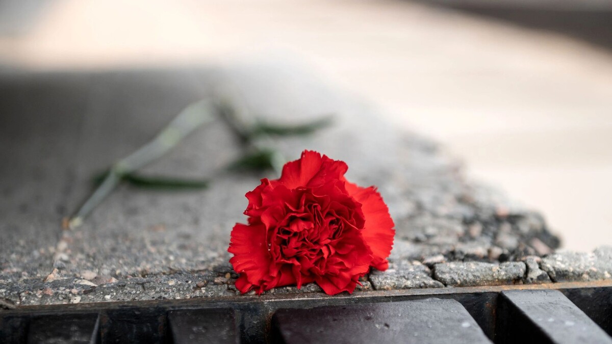    Фото: SashkaB/Shutterstock/Fotodom