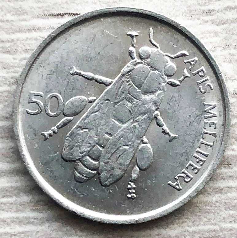 Словения 50 стотинов 1992 пчела. Фото автора. 