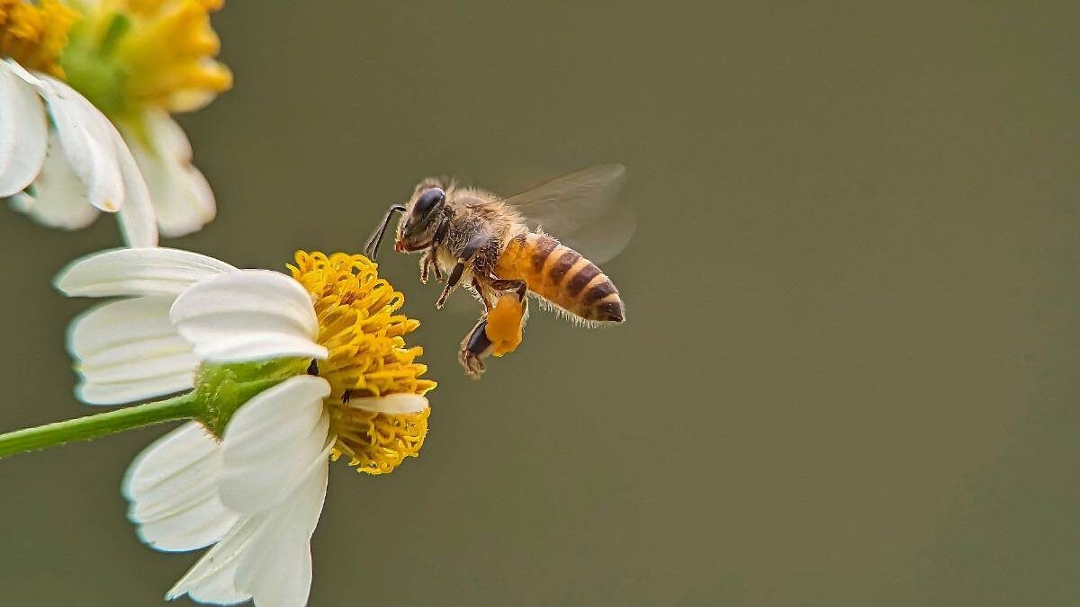    Фото: Shutterstock