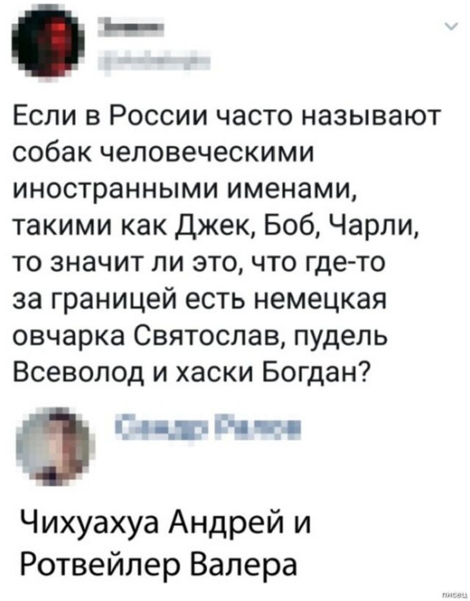 Тут должен был быть текст, но он был съеден