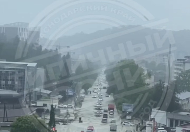    Фото: тг-канал «Типичный Сочи»