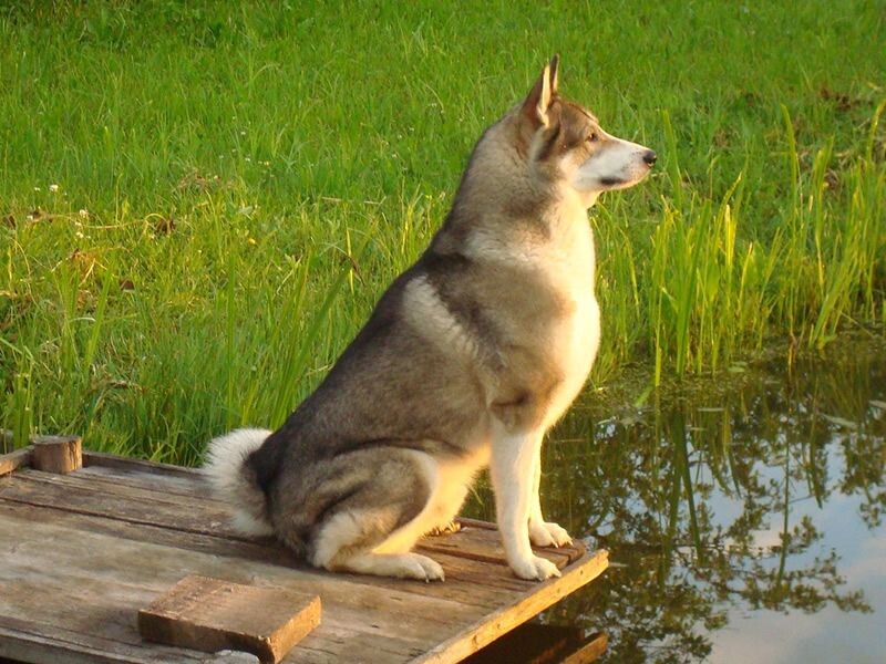 источник фото: https://i.pinimg.com/originals/62/bb/e4/62bbe4f917048b445f1029f1373e0894.jpg