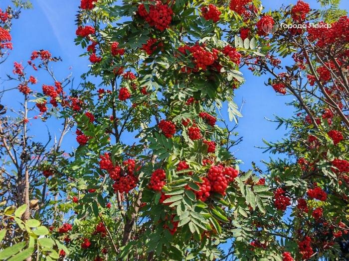     Фото: Города Лайф